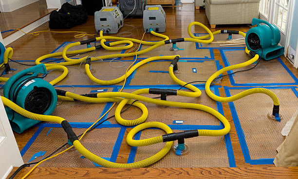 Professional Water Extraction technician working in Mount Carmel, IL